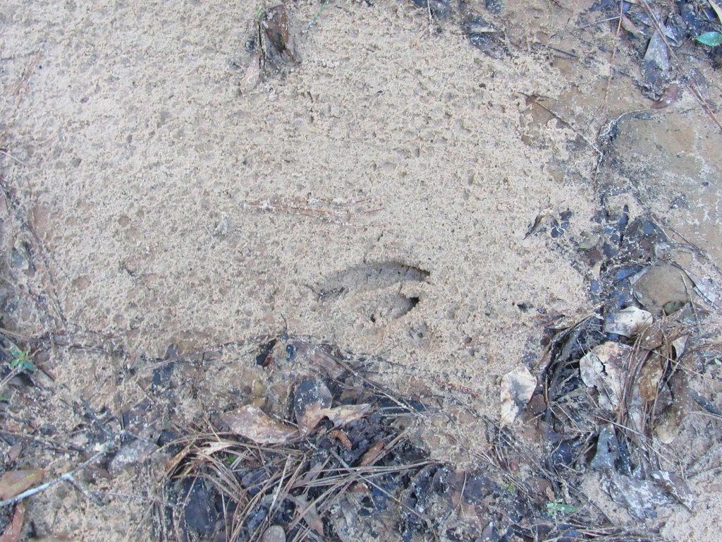 Picture 20