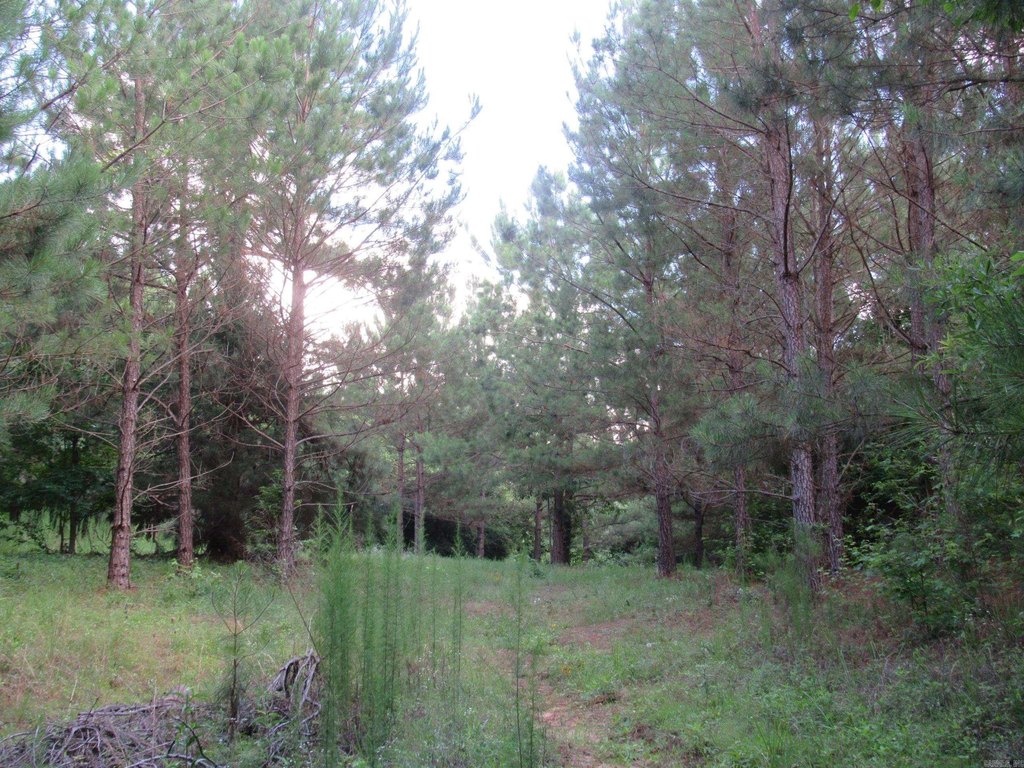 Picture 22