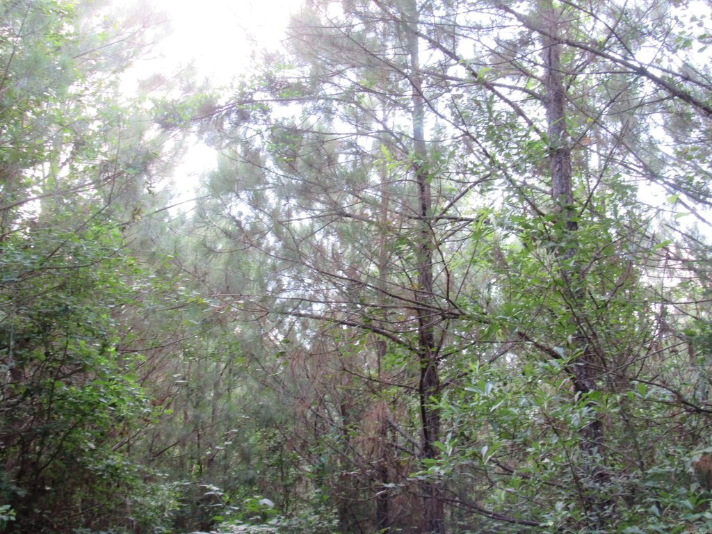 Picture 26
