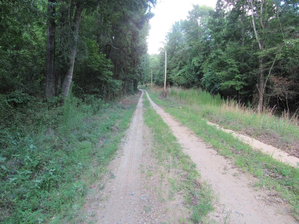 Picture 17