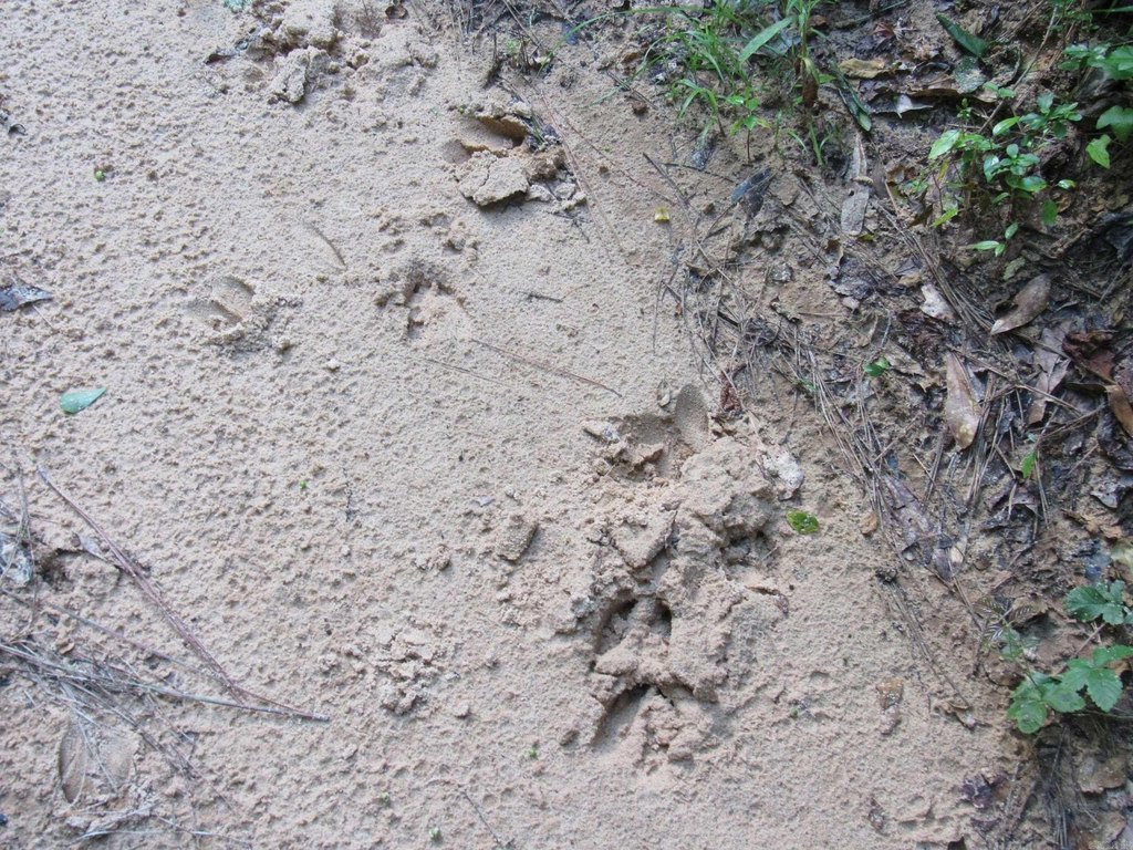 Picture 21