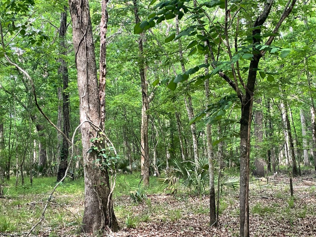 Picture 25