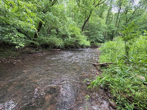 Unrestricted Creekfront Land