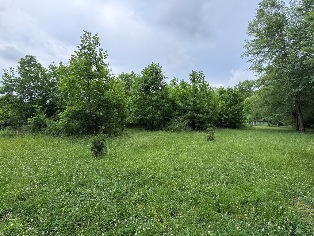 Picture 13