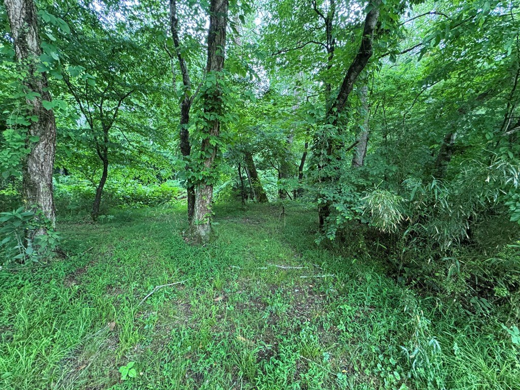Picture 19
