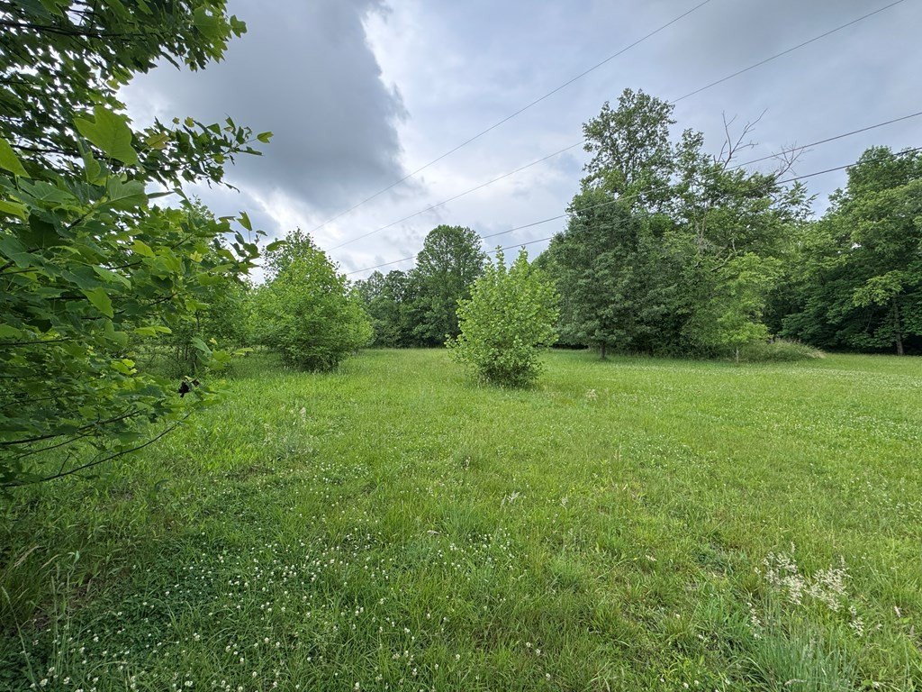 Picture 18