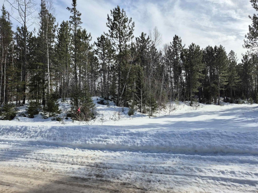 Picture 20