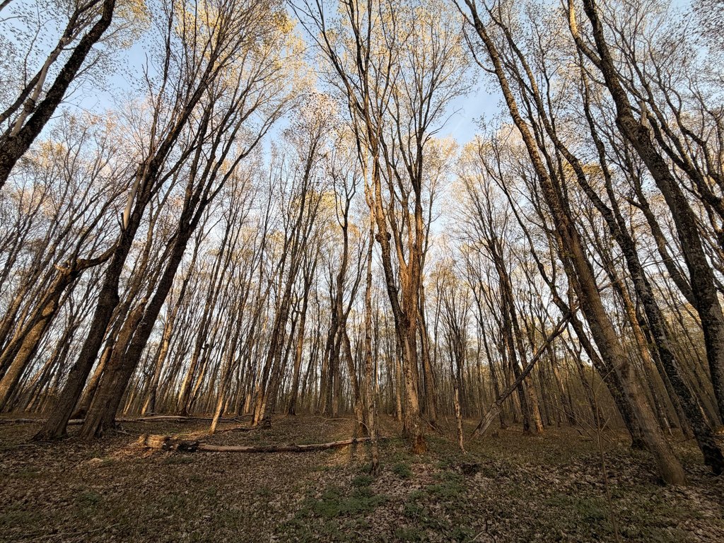 Picture 4