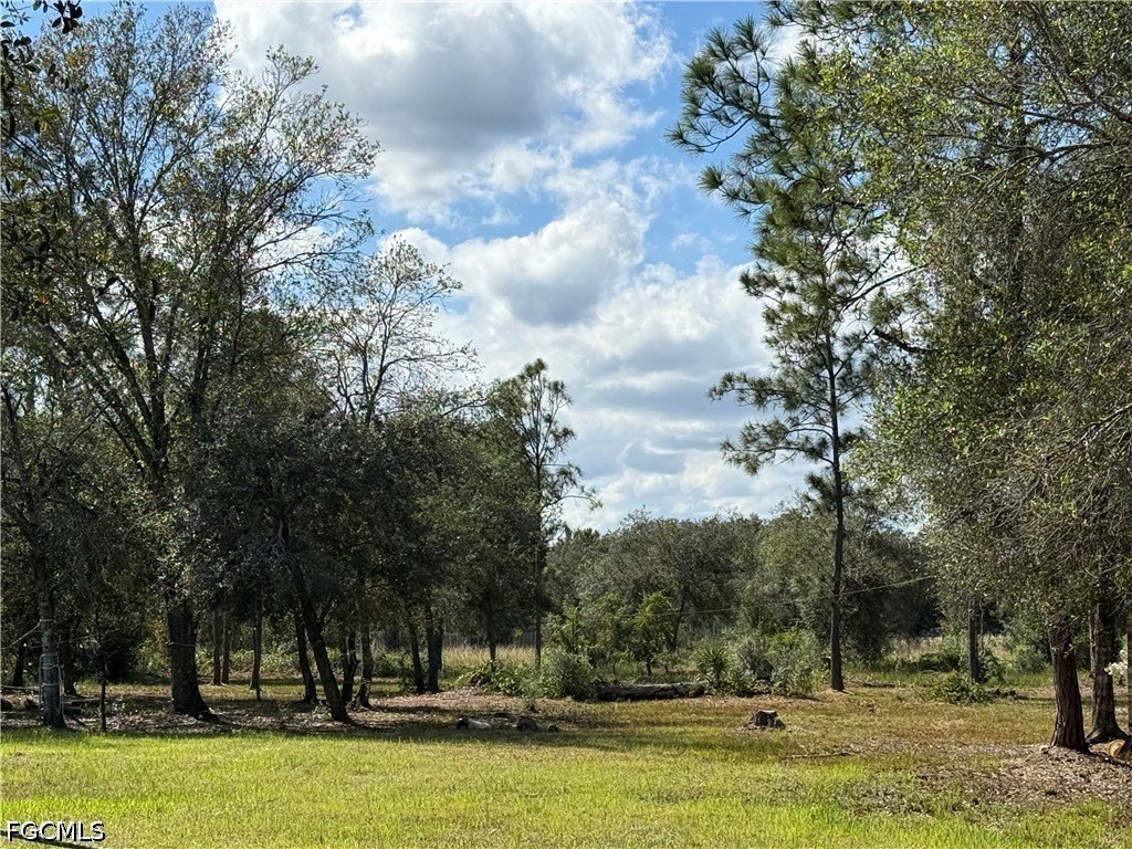 Picture 11