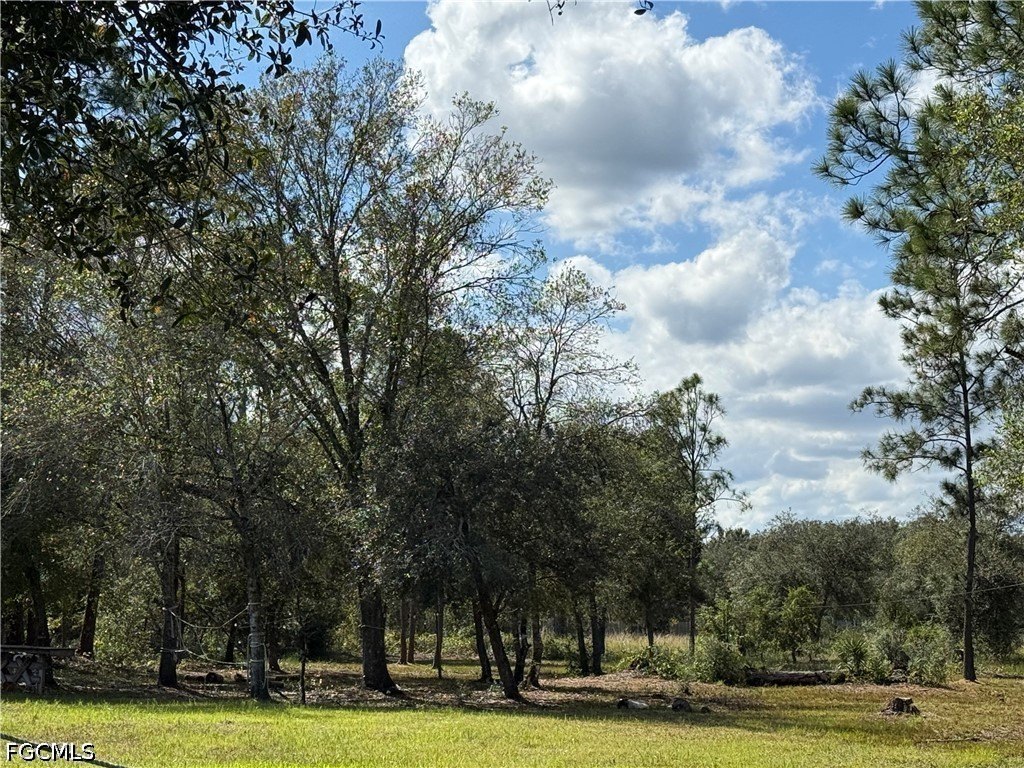 Picture 12