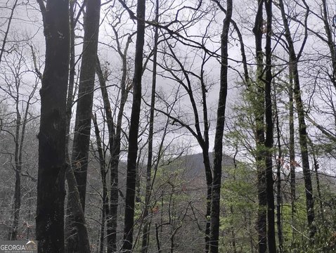 Sky Valley Wooded Lot