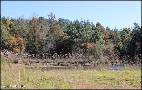 Undeveloped Land with Pond