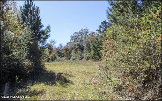 Picture 14