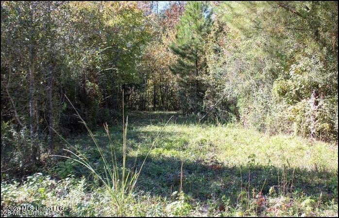 Picture 12