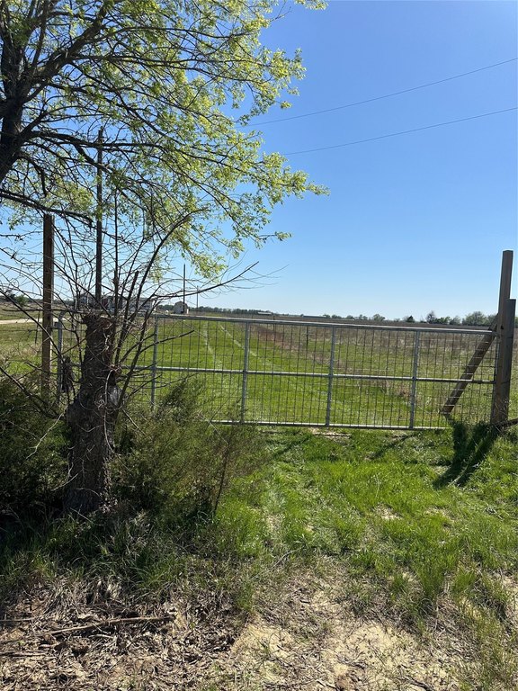 Picture 6
