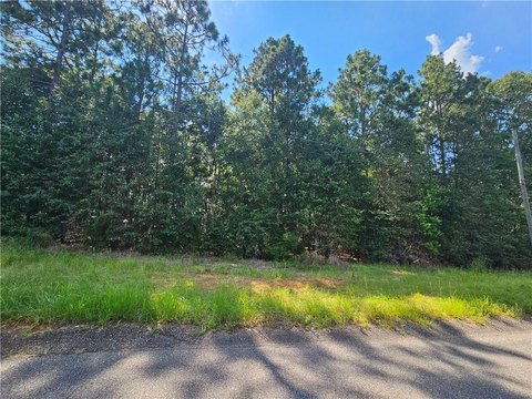 Residential Lot in Eight Mile