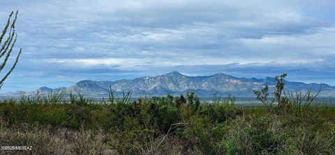 73.9 Acres of Desert Land