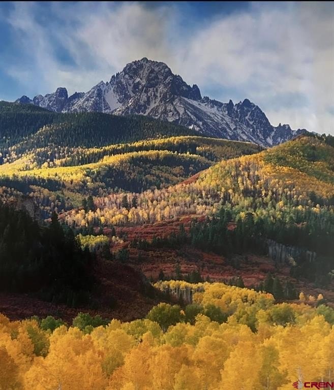 Ridgway, CO Land For Sale