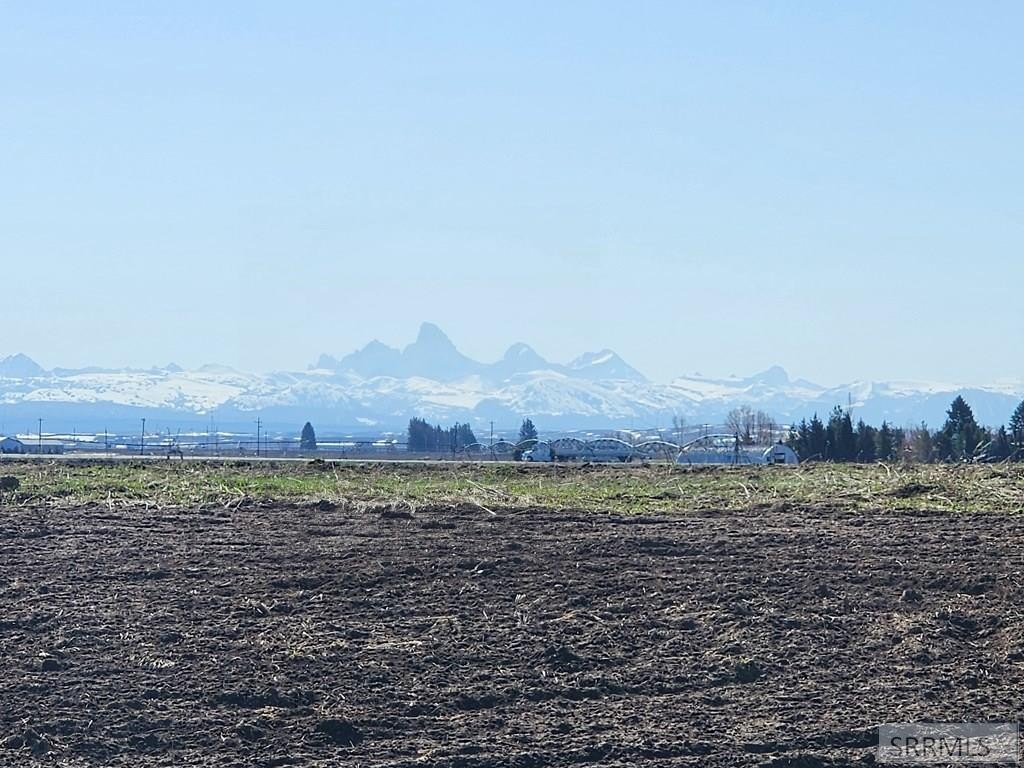 Picture 19