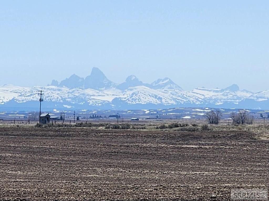 Picture 21