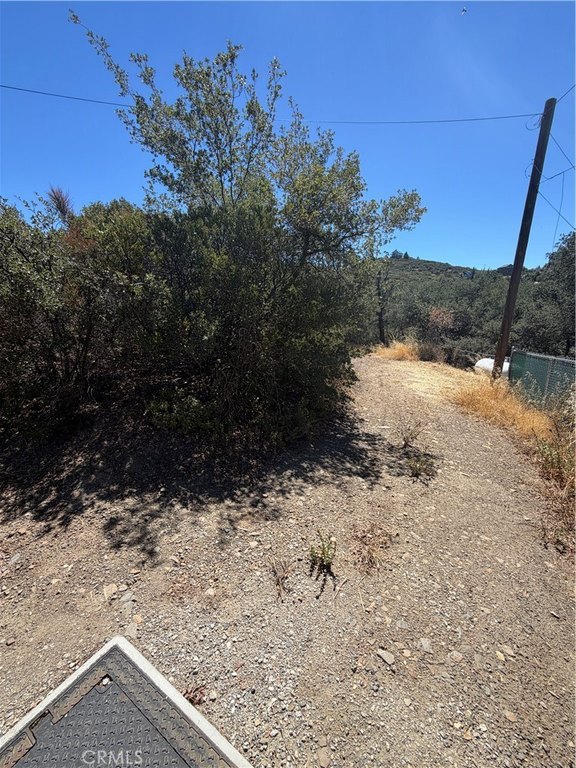 Picture 11