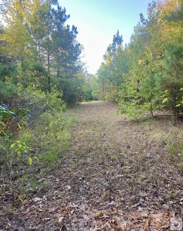 Picture 12