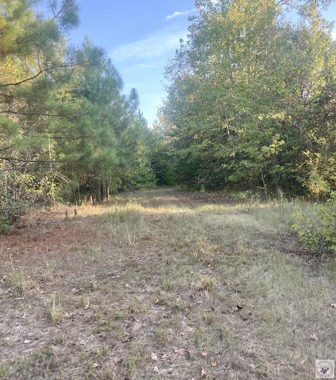 Picture 17