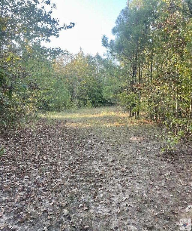 Picture 13