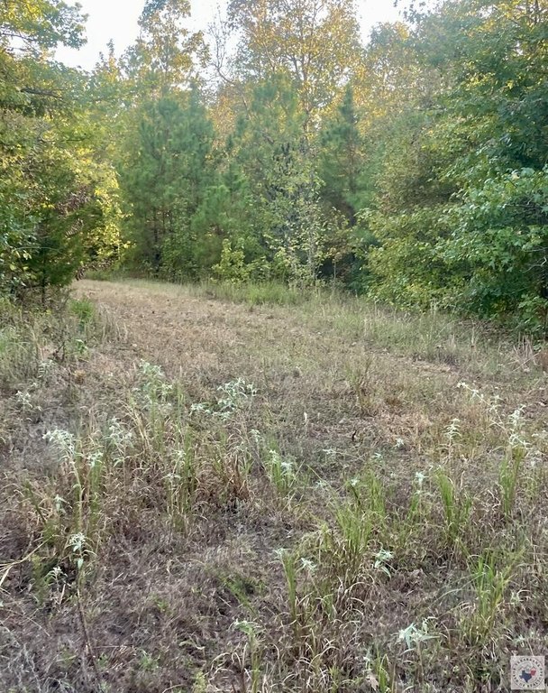 Picture 15