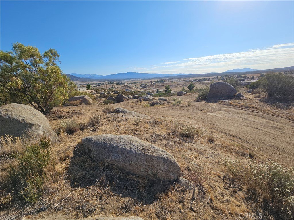 Picture 19