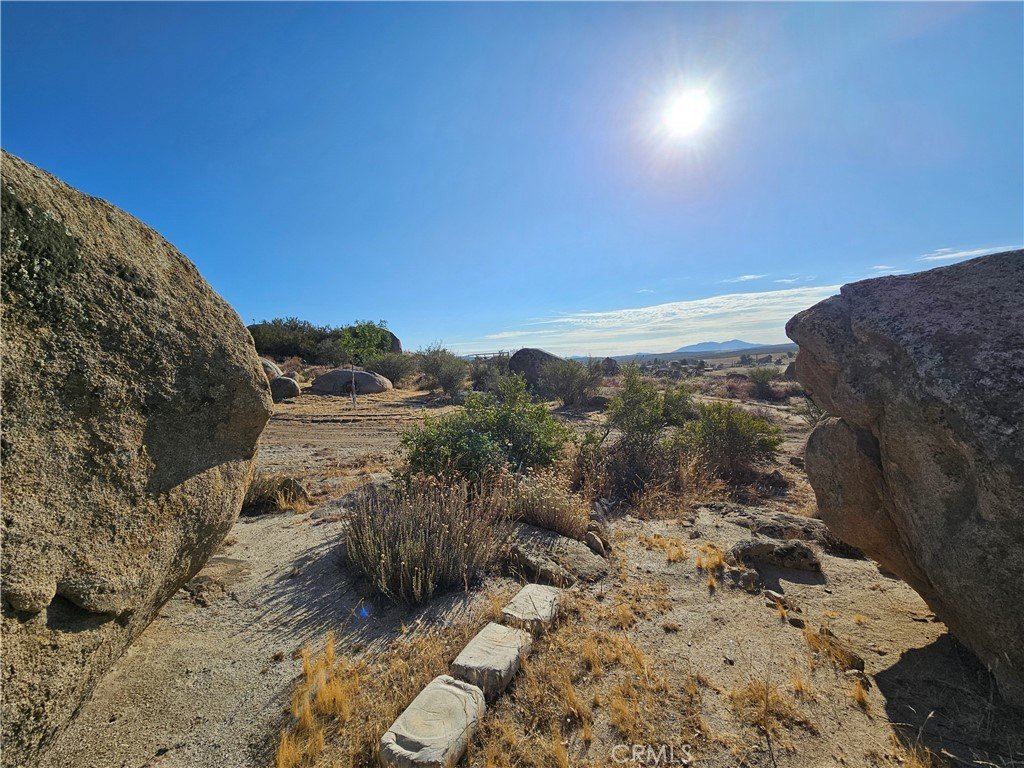 Picture 10