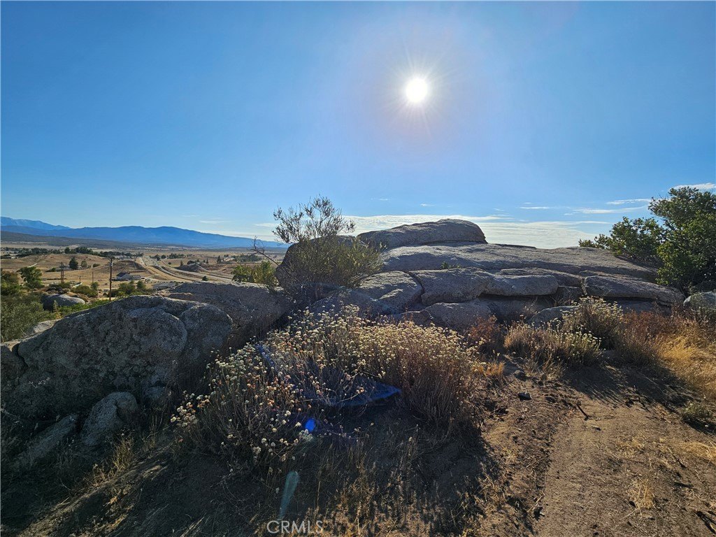 Picture 15