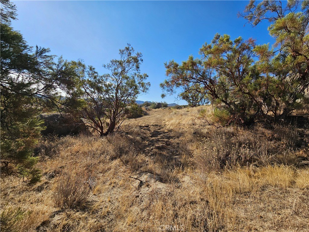 Picture 18