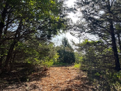 Colbert, OK Vacant Land