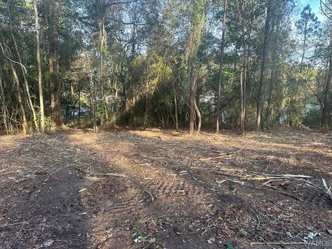Land, Brookwood, AL