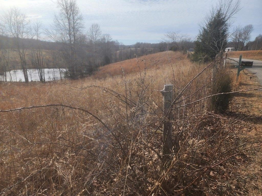Picture 2