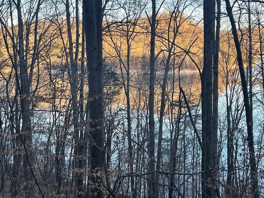 Lakeview Land Near Center Hill