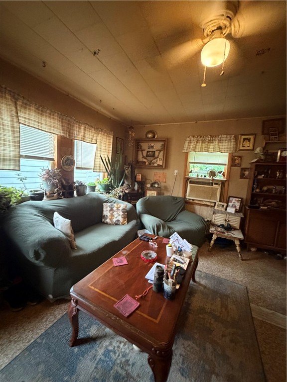 Picture 16