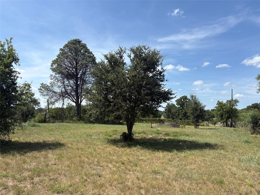 Picture 19
