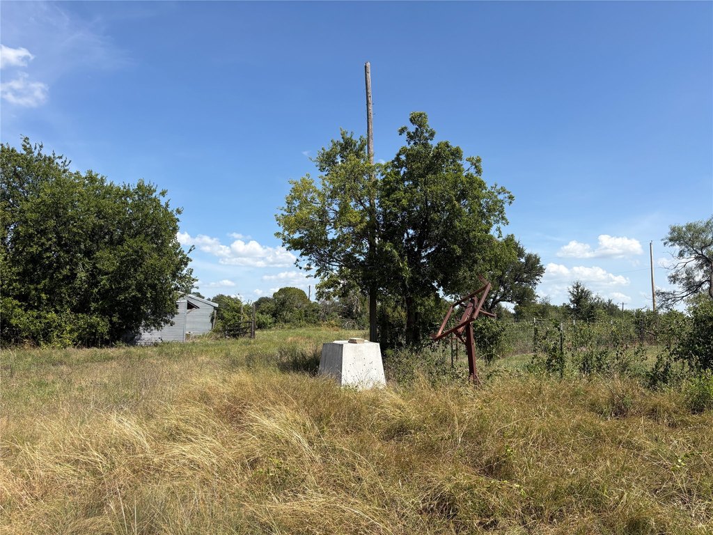 Picture 18