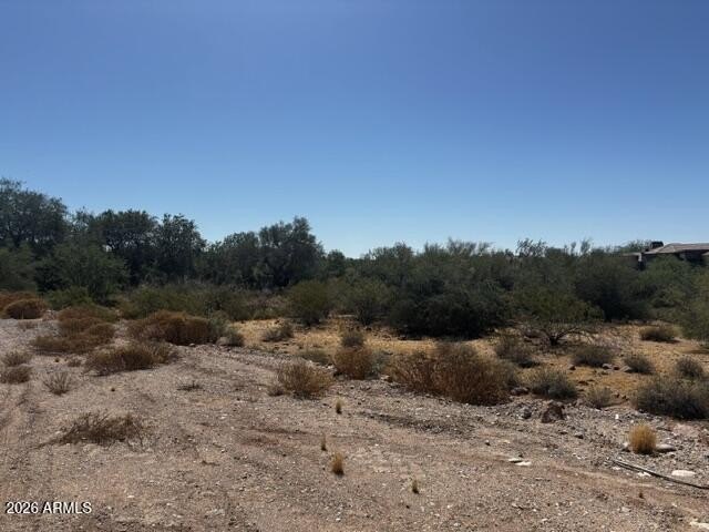 Picture 6