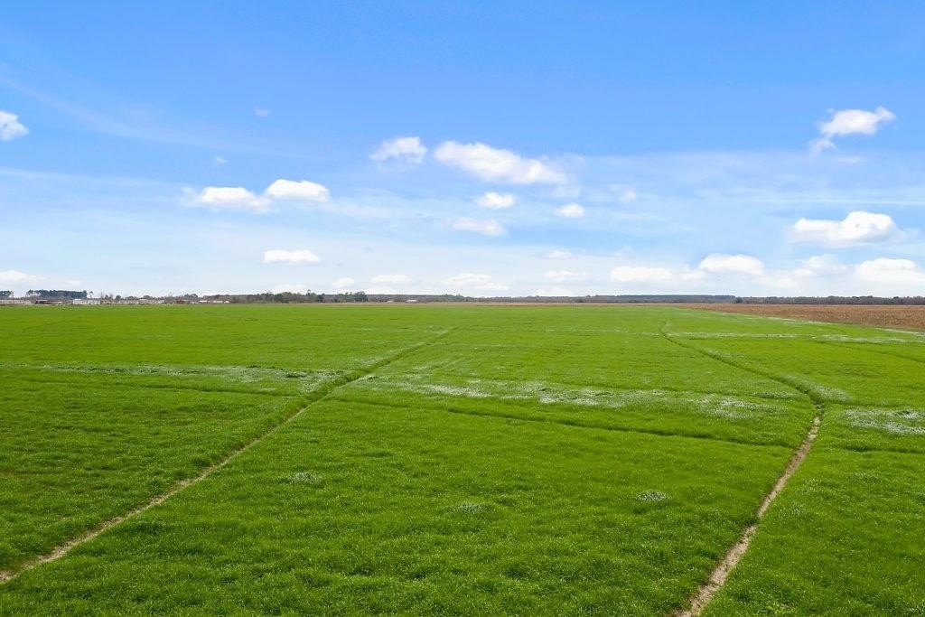 Approved Subdivision Land in Iowa