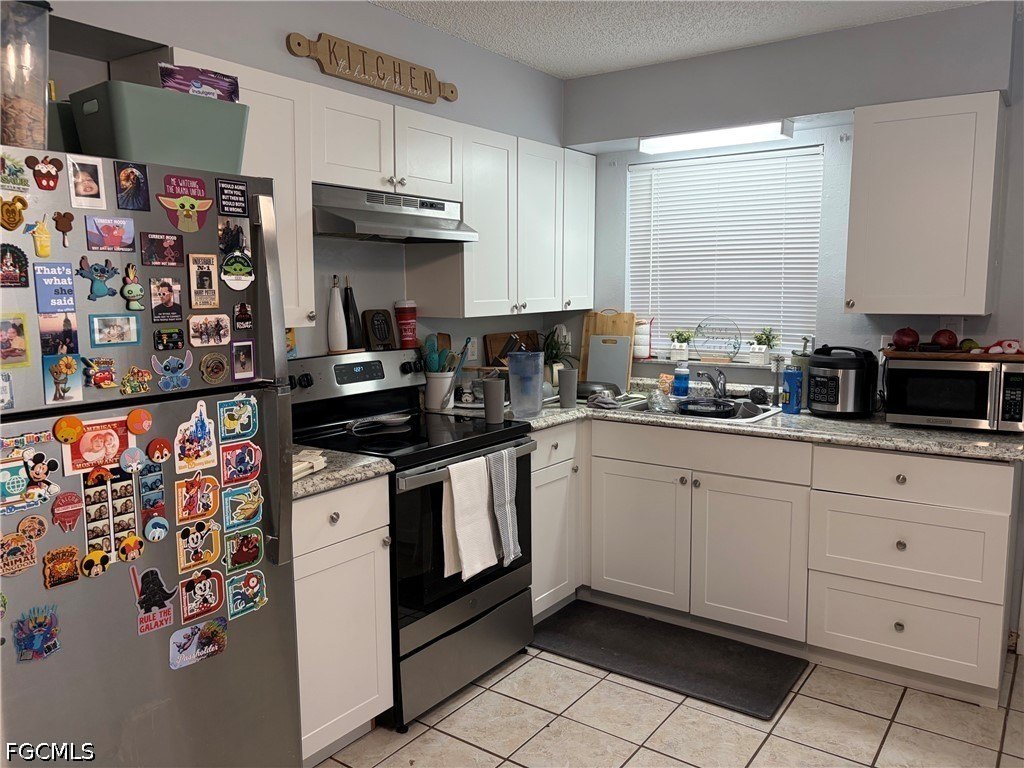 Picture 19