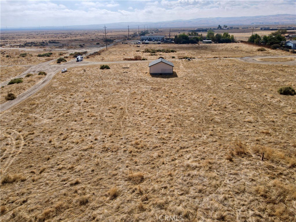 Picture 8
