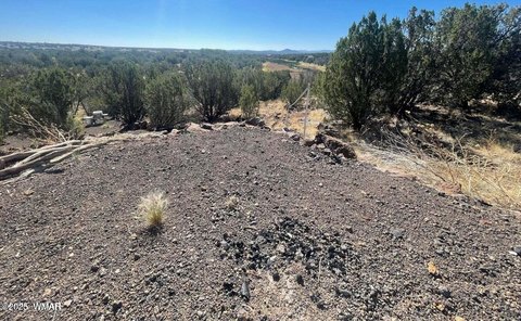 Land with Lake Access