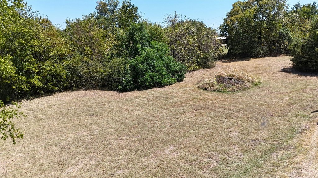 Picture 13