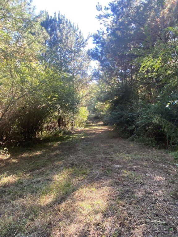 Picture 19
