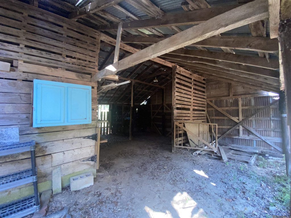 Picture 51