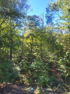 Land in West Little Rock