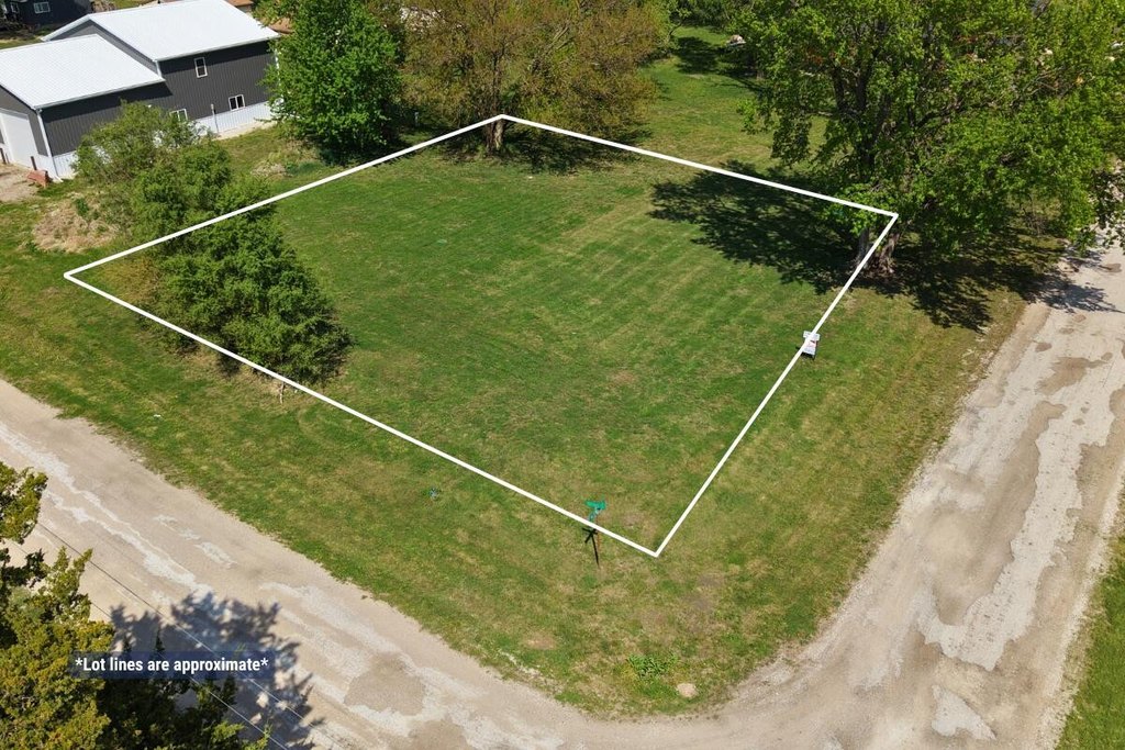 Picture 5